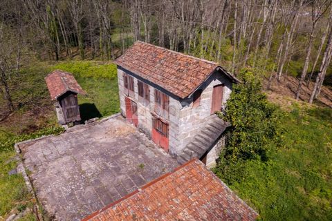 Farm i Paredes, Porto, Paredes - € 450.000 | Ref: ZMPT584918 - foto 20
