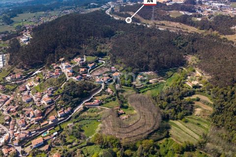 Farm i Paredes, Porto, Paredes - € 450.000 | Ref: ZMPT584918 - foto 8