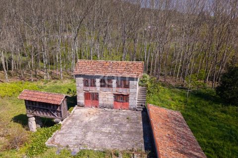 Farm i Paredes, Porto, Paredes - € 450.000 | Ref: ZMPT584918 - foto 15