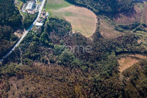 Helårsgrund i Sobreira, Porto, Sobreira - € 140.000 | Ref: ZMPT585538 - foto 11