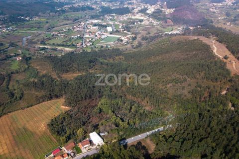 Helårsgrund i Sobreira, Porto, Sobreira - € 140.000 | Ref: ZMPT585538 - foto 13