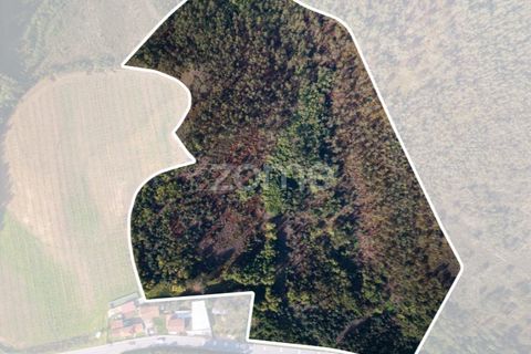 Helårsgrund i Sobreira, Porto, Sobreira - € 140.000 | Ref: ZMPT585538 - foto 15