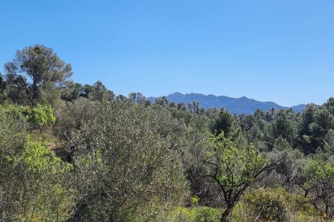 Finca i Benifallet, Tarragona, Benifallet - € 27.000 | Ref: Al - foto 8