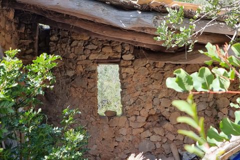 Finca i Benifallet, Tarragona, Benifallet - € 27.000 | Ref: Al - foto 13