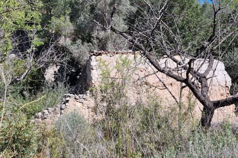 Finca i Benifallet, Tarragona, Benifallet - € 27.000 | Ref: Al - foto 24