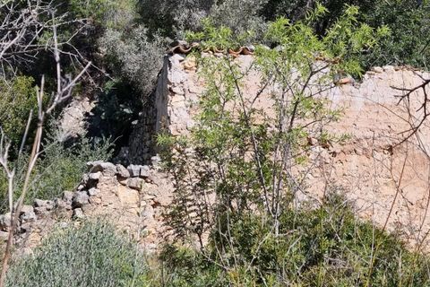 Finca i Benifallet, Tarragona, Benifallet - € 27.000 | Ref: Al - foto 18