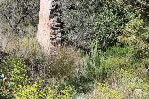 Finca i Benifallet, Tarragona, Benifallet - € 27.000 | Ref: Al - foto 10