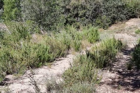 Finca i Benifallet, Tarragona, Benifallet - € 27.000 | Ref: Al - foto 6