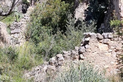 Finca i Benifallet, Tarragona, Benifallet - € 27.000 | Ref: Al - foto 23