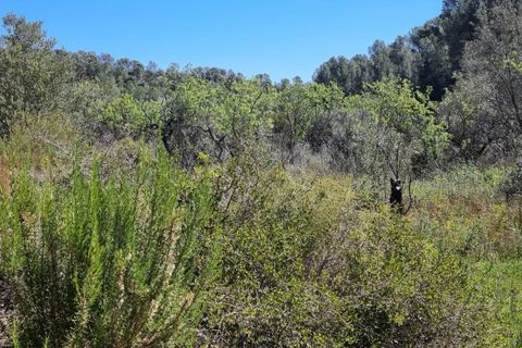 Finca i Benifallet, Tarragona, Benifallet - € 27.000 | Ref: Al - foto 19