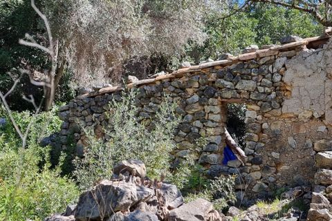 Finca i Benifallet, Tarragona, Benifallet - € 27.000 | Ref: Al - foto 12