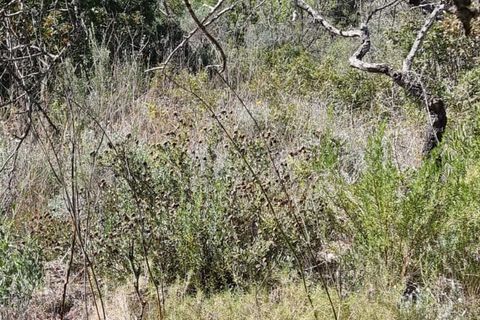 Finca i Benifallet, Tarragona, Benifallet - € 27.000 | Ref: Al - foto 22