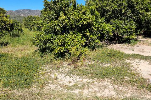 Finca i Benifallet, Tarragona, Benifallet - € 27.000 | Ref: Al - foto 16