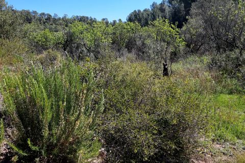 Finca i Benifallet, Tarragona, Benifallet - € 27.000 | Ref: Al - foto 14