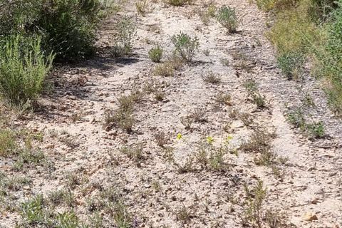 Finca i Benifallet, Tarragona, Benifallet - € 27.000 | Ref: Al - foto 7