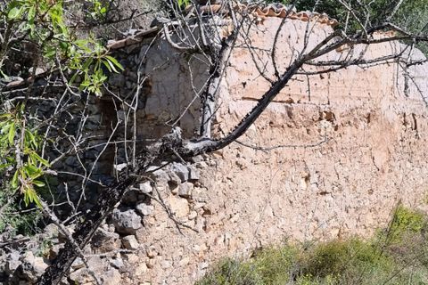 Finca i Benifallet, Tarragona, Benifallet - € 27.000 | Ref: Al - foto 15
