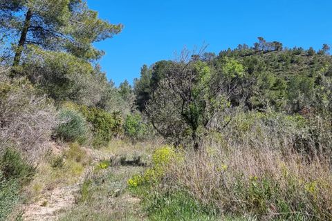 Finca i Benifallet, Tarragona, Benifallet - € 27.000 | Ref: Al - foto 11