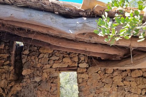 Finca i Benifallet, Tarragona, Benifallet - € 27.000 | Ref: Al - foto 21
