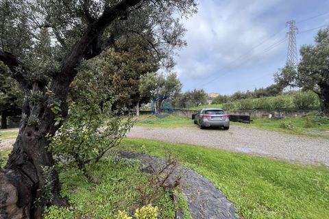 Villa a Catanzaro, Catanzaro, Catanzaro - € 320.000 | Ref: CZ-924 - foto 28