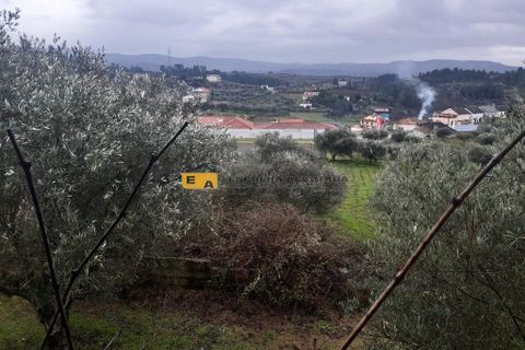 Byhus i Mirandela, Braganca, Mirandela - € 50.000 | Ref: 11930 - foto 7