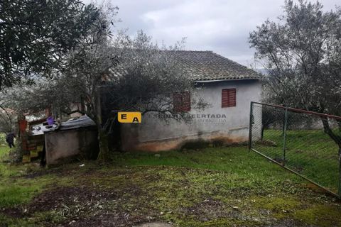 Byhus i Mirandela, Braganca, Mirandela - € 50.000 | Ref: 11930 - foto 8