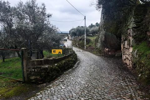 Byhus i Mirandela, Braganca, Mirandela - € 50.000 | Ref: 11930 - foto 9