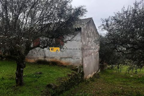 Byhus i Mirandela, Braganca, Mirandela - € 50.000 | Ref: 11930 - foto 10