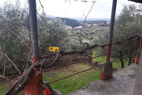 Byhus i Mirandela, Braganca, Mirandela - € 50.000 | Ref: 11930 - foto 11