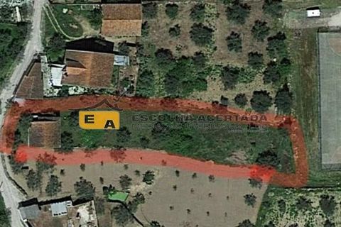 Byhus i Mirandela, Braganca, Mirandela - € 50.000 | Ref: 11930 - foto 12