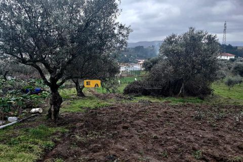 Byhus i Mirandela, Braganca, Mirandela - € 50.000 | Ref: 11930 - foto 13
