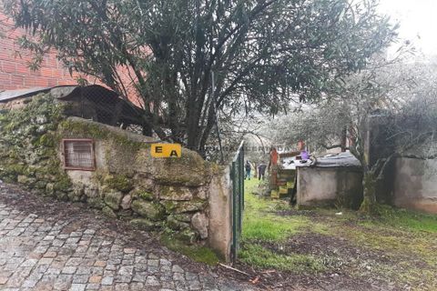 Byhus i Mirandela, Braganca, Mirandela - € 50.000 | Ref: 11930 - foto 16