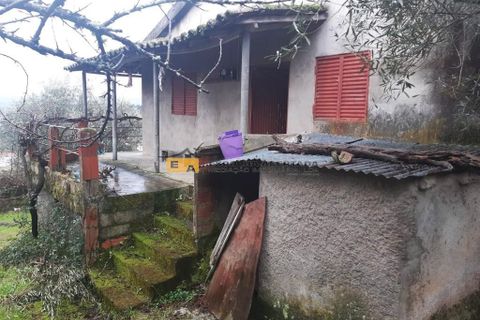 Byhus i Mirandela, Braganca, Mirandela - € 50.000 | Ref: 11930 - foto 17