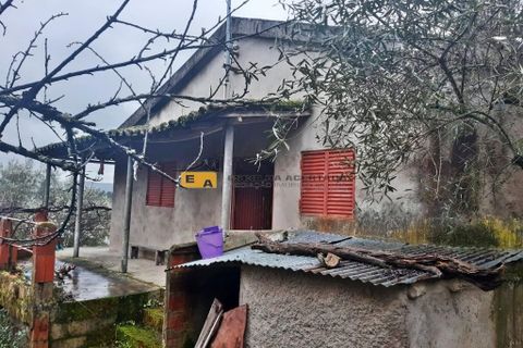 Byhus i Mirandela, Braganca, Mirandela - € 50.000 | Ref: 11930 - foto 20