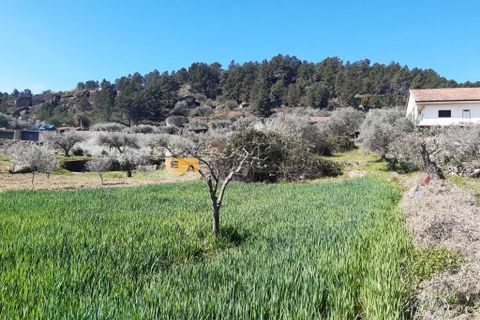 Byhus i Mirandela, Braganca, Mirandela - € 50.000 | Ref: 11930 - foto 22