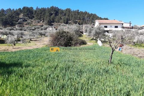 Byhus i Mirandela, Braganca, Mirandela - € 50.000 | Ref: 11930 - foto 23