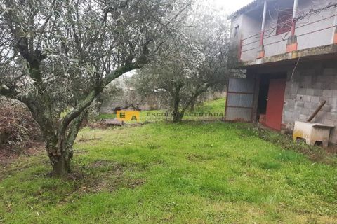 Byhus i Mirandela, Braganca, Mirandela - € 50.000 | Ref: 11930 - foto 24