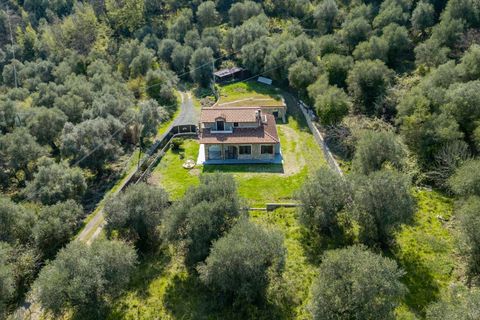 Villa a Dolceacqua, Imperia, Dolceacqua - € 430.000 | Ref: F159-1470 - foto 42
