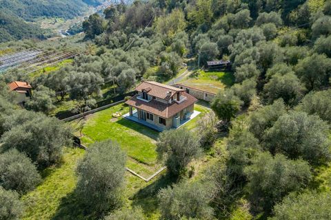 Villa a Dolceacqua, Imperia, Dolceacqua - € 430.000 | Ref: F159-1470 - foto 43