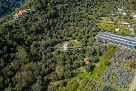Villa a Dolceacqua, Imperia, Dolceacqua - € 430.000 | Ref: F159-1470 - foto 44