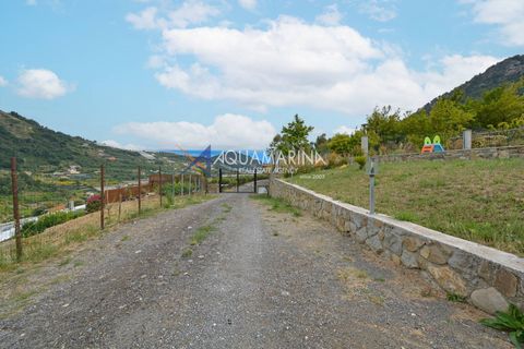 Villa a Vallecrosia, Imperia, Vallecrosia - € 790.000 | Ref: 14181 - foto 7