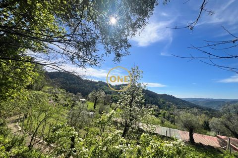 Byhus i Terras de Bouro, Braga, Terras de Bouro - € 46.000 | Ref: ONE141548-36 - foto 15