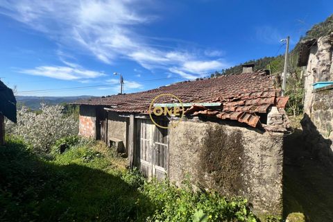 Byhus i Terras de Bouro, Braga, Terras de Bouro - € 46.000 | Ref: ONE141548-36 - foto 16