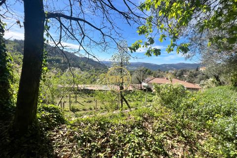 Byhus i Terras de Bouro, Braga, Terras de Bouro - € 46.000 | Ref: ONE141548-36 - foto 17
