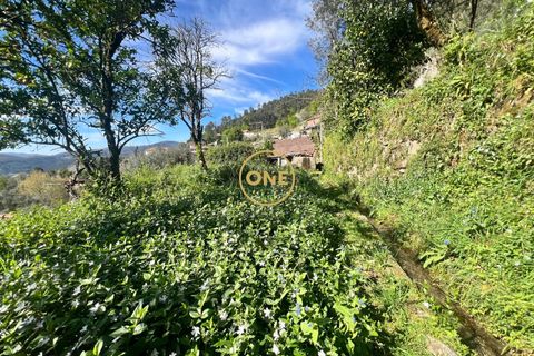 Byhus i Terras de Bouro, Braga, Terras de Bouro - € 46.000 | Ref: ONE141548-36 - foto 22