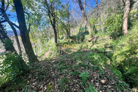 Byhus i Terras de Bouro, Braga, Terras de Bouro - € 46.000 | Ref: ONE141548-36 - foto 27