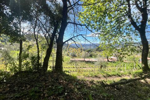 Byhus i Terras de Bouro, Braga, Terras de Bouro - € 46.000 | Ref: ONE141548-36 - foto 28