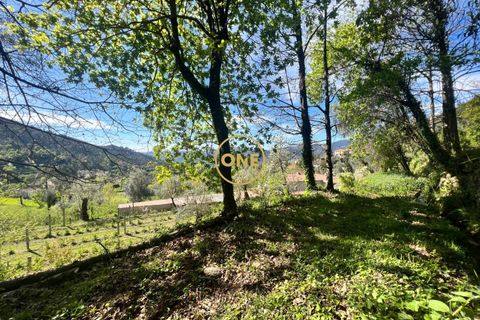 Byhus i Terras de Bouro, Braga, Terras de Bouro - € 46.000 | Ref: ONE141548-36 - foto 29