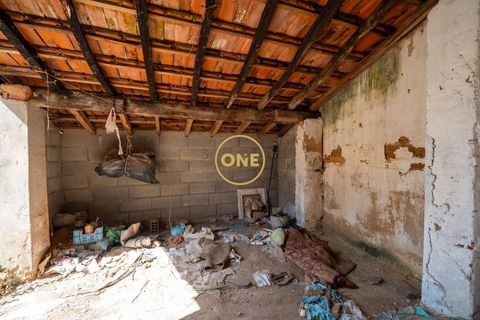 Byhus i Chamusca, Santarem, Chamusca - € 70.000 | Ref: ONE582018-1 - foto 12