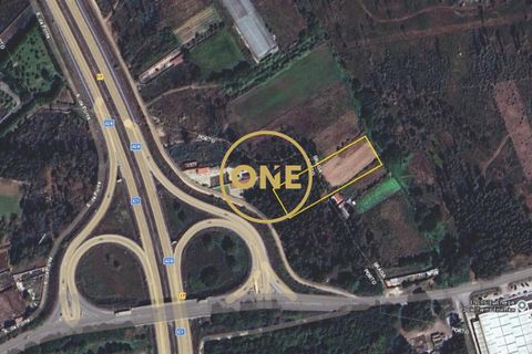 Helårsgrund i Barcelos, Braga, Barcelos - € 39.000 | Ref: ONE0021495-26 - foto 1