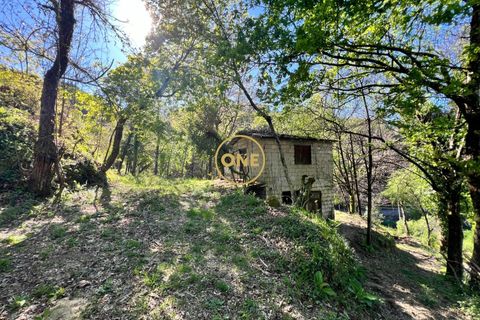 Terra a Terras de Bouro, Braga, Terras de Bouro - € 69.000 | Ref: ONE141548-37 - foto 3